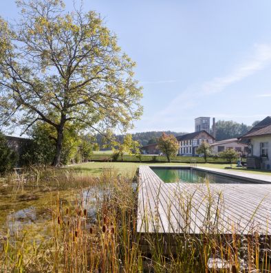 Schwimmteich Garten in Schüpfen