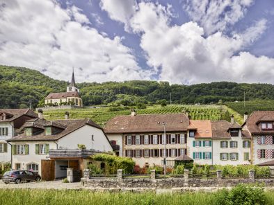 Umbau und Sanierung Rebhaus in Ligerz